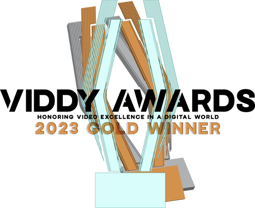 2023 Viddy Gold Award